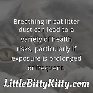 Breathing in cat litter dust can lead to a variety of health risks, particularly if exposure is prolonged or frequent.