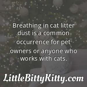 Breathing in cat litter dust is a common occurrence for pet owners or anyone who works with cats.