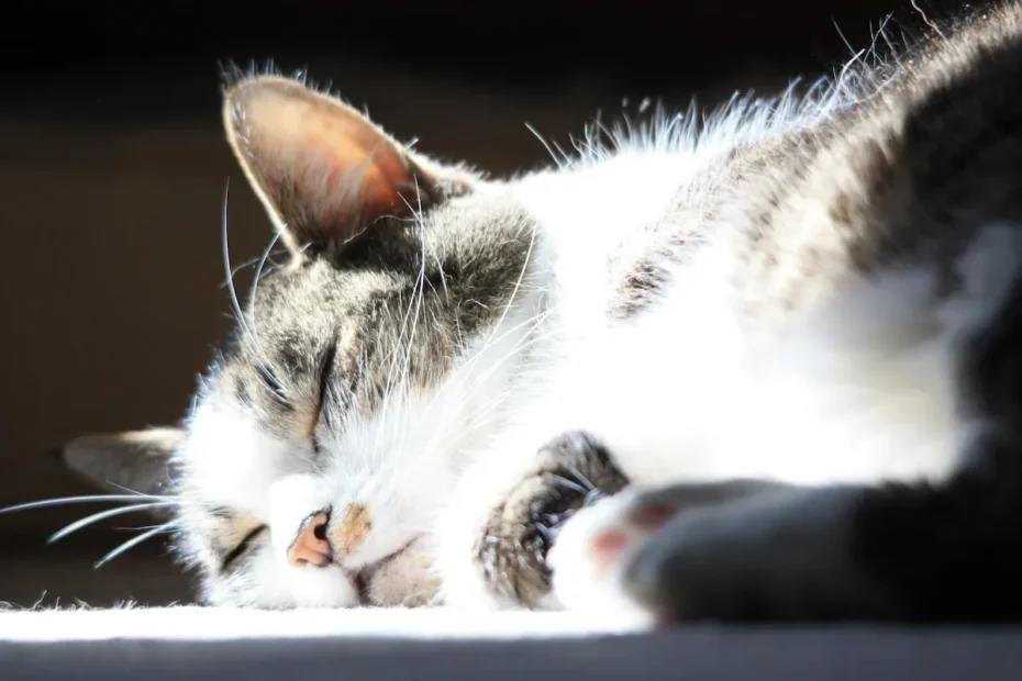 Can Cats Sniff Out Bed Bugs? Unleash Their Detection Skills!
