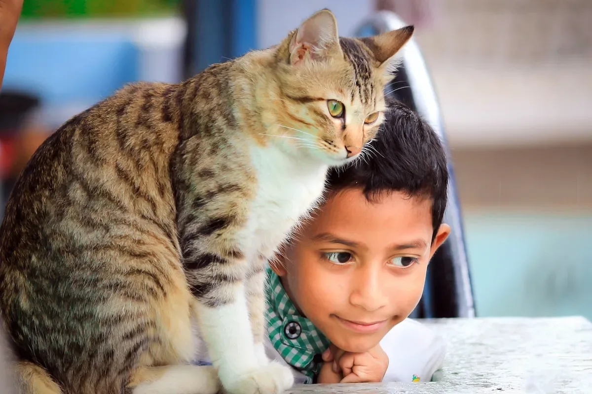 Can Cats Speak Human Languages?