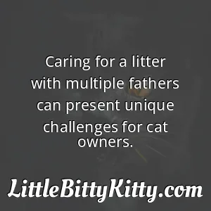 Caring for a litter with multiple fathers can present unique challenges for cat owners.