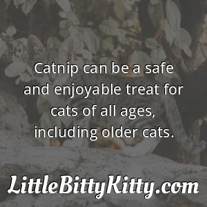 Catnip can be a safe and enjoyable treat for cats of all ages, including older cats.