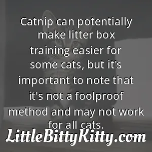 Catnip can potentially make litter box training easier for some cats, but it's important to note that it's not a foolproof method and may not work for all cats.