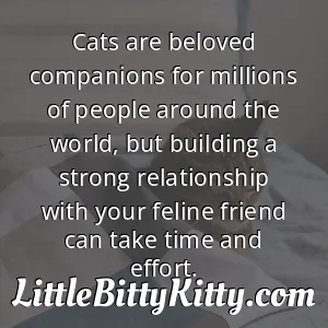 Cats are beloved companions for millions of people around the world, but building a strong relationship with your feline friend can take time and effort.