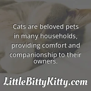 Cats are beloved pets in many households, providing comfort and companionship to their owners.