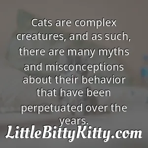 Cats are complex creatures, and as such, there are many myths and misconceptions about their behavior that have been perpetuated over the years.