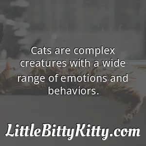 Cats are complex creatures with a wide range of emotions and behaviors.