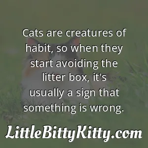 Cats are creatures of habit, so when they start avoiding the litter box, it's usually a sign that something is wrong.