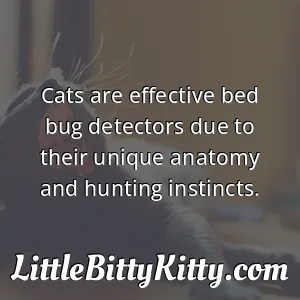 Cats are effective bed bug detectors due to their unique anatomy and hunting instincts.
