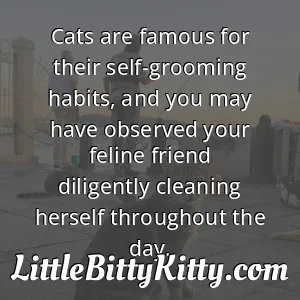 Cats are famous for their self-grooming habits, and you may have observed your feline friend diligently cleaning herself throughout the day.