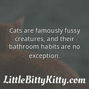 Cats are famously fussy creatures, and their bathroom habits are no exception.
