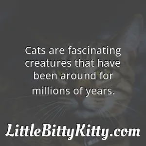 Cats are fascinating creatures that have been around for millions of years.