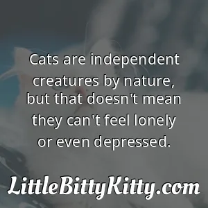 Cats are independent creatures by nature, but that doesn't mean they can't feel lonely or even depressed.