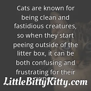 Cats are known for being clean and fastidious creatures, so when they start peeing outside of the litter box, it can be both confusing and frustrating for their owners.