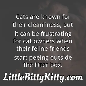 Cats are known for their cleanliness, but it can be frustrating for cat owners when their feline friends start peeing outside the litter box.