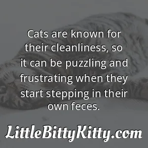 Cats are known for their cleanliness, so it can be puzzling and frustrating when they start stepping in their own feces.