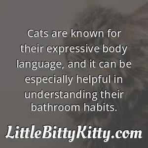 Cats are known for their expressive body language, and it can be especially helpful in understanding their bathroom habits.