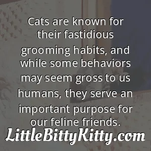 Cats are known for their fastidious grooming habits, and while some behaviors may seem gross to us humans, they serve an important purpose for our feline friends.