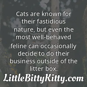 Cats are known for their fastidious nature, but even the most well-behaved feline can occasionally decide to do their business outside of the litter box.