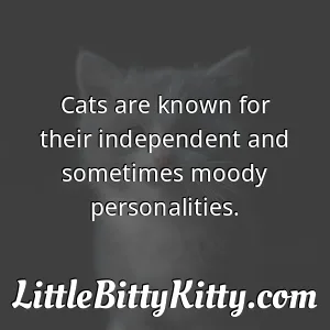 Cats are known for their independent and sometimes moody personalities.