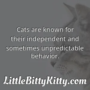 Cats are known for their independent and sometimes unpredictable behavior.