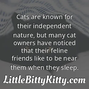 Cats are known for their independent nature, but many cat owners have noticed that their feline friends like to be near them when they sleep.