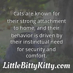 Cats are known for their strong attachment to home, and their behavior is driven by their instinctual need for security and comfort.