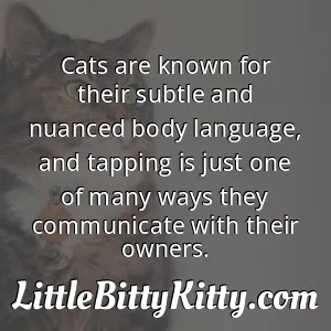 Cats are known for their subtle and nuanced body language, and tapping is just one of many ways they communicate with their owners.