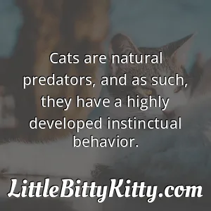 Cats are natural predators, and as such, they have a highly developed instinctual behavior.