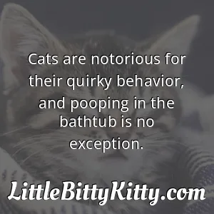 Cats are notorious for their quirky behavior, and pooping in the bathtub is no exception.