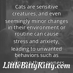 Cats are sensitive creatures, and even seemingly minor changes in their environment or routine can cause stress and anxiety, leading to unwanted behaviors such as peeing on their owners.