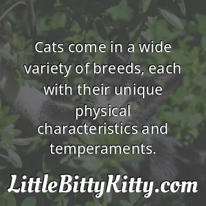 Cats come in a wide variety of breeds, each with their unique physical characteristics and temperaments.