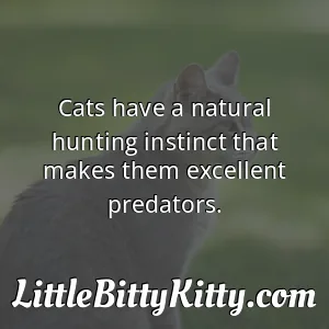 Cats have a natural hunting instinct that makes them excellent predators.