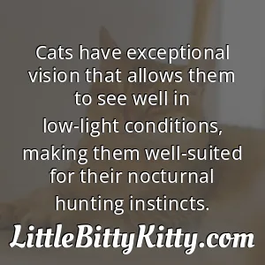 Cats have exceptional vision that allows them to see well in low-light conditions, making them well-suited for their nocturnal hunting instincts.