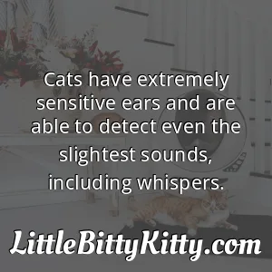 Cats have extremely sensitive ears and are able to detect even the slightest sounds, including whispers.