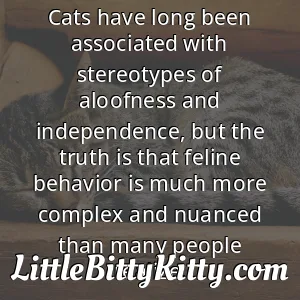 Cats have long been associated with stereotypes of aloofness and independence, but the truth is that feline behavior is much more complex and nuanced than many people realize.
