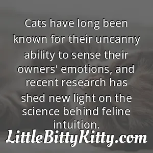 Cats have long been known for their uncanny ability to sense their owners' emotions, and recent research has shed new light on the science behind feline intuition.