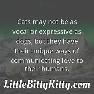 Cats may not be as vocal or expressive as dogs, but they have their unique ways of communicating love to their humans.