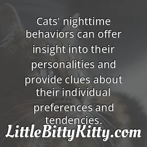 Cats' nighttime behaviors can offer insight into their personalities and provide clues about their individual preferences and tendencies.