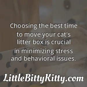 Choosing the best time to move your cat's litter box is crucial in minimizing stress and behavioral issues.