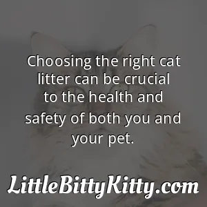 Choosing the right cat litter can be crucial to the health and safety of both you and your pet.