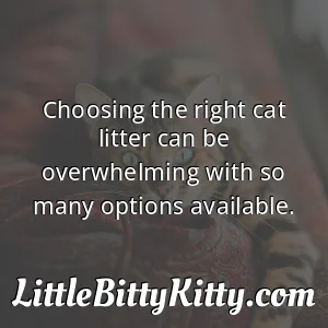 Choosing the right cat litter can be overwhelming with so many options available.