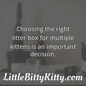 Choosing the right litter box for multiple kittens is an important decision.