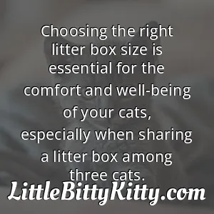 Choosing the right litter box size is essential for the comfort and well-being of your cats, especially when sharing a litter box among three cats.