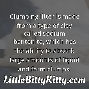 Clumping litter is made from a type of clay called sodium bentonite, which has the ability to absorb large amounts of liquid and form clumps.