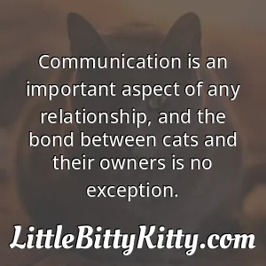 Communication is an important aspect of any relationship, and the bond between cats and their owners is no exception.