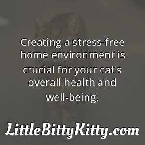 Creating a stress-free home environment is crucial for your cat's overall health and well-being.