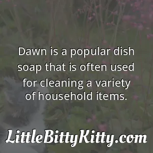 Dawn is a popular dish soap that is often used for cleaning a variety of household items.