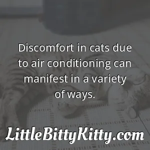 Discomfort in cats due to air conditioning can manifest in a variety of ways.