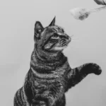 Do cats deter roaches? A feline solution to pest control?